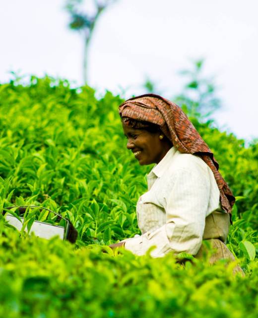 pioneers-bg pioneers-bg